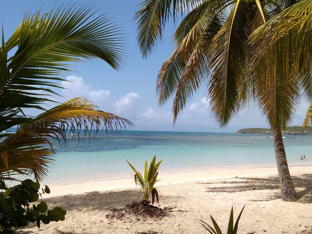 Appartements: Plage & Commerces A 200M Sainte-Anne  Eksteriør bilde