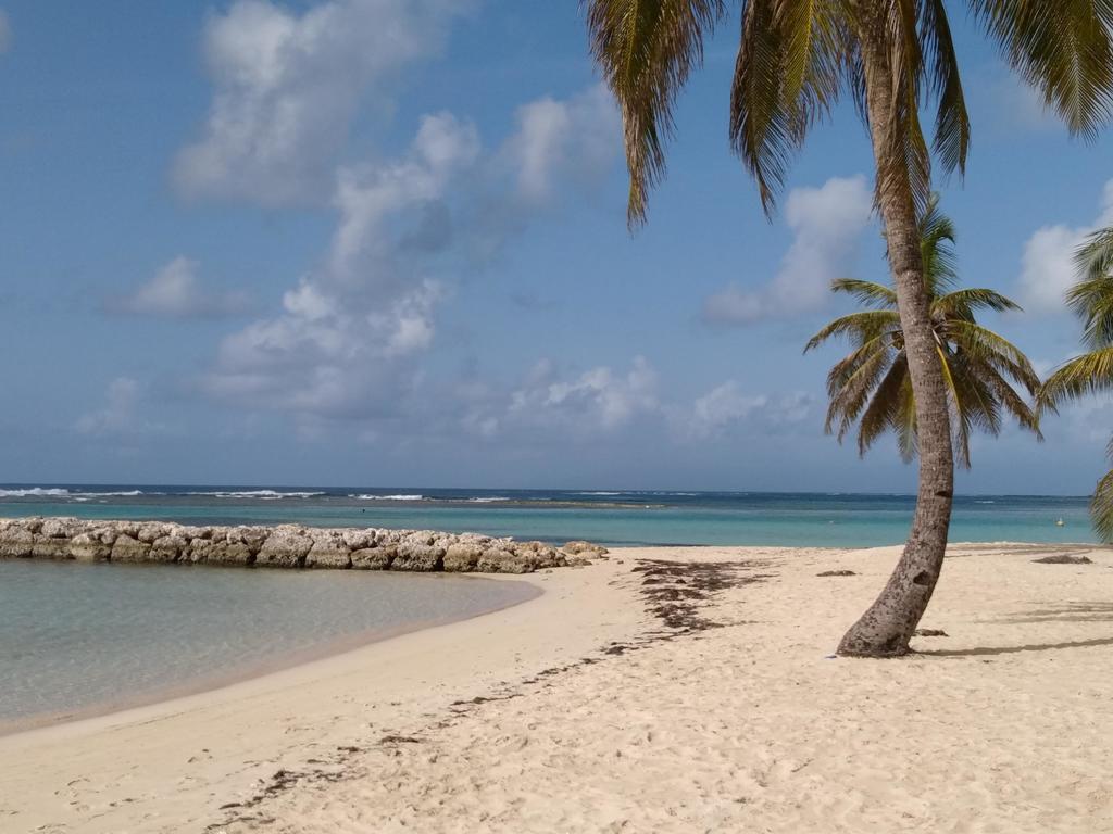 Appartements: Plage & Commerces A 200M Sainte-Anne  Eksteriør bilde